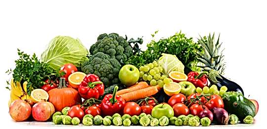 Esenyurt Catering Firmaları - Catering Firmaları